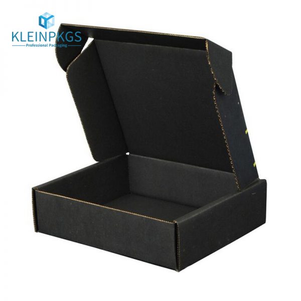 Corrugated PP Box