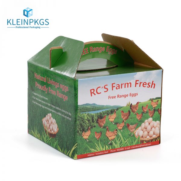 Corrugated PP Box