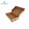 Corrugated Plastic Box