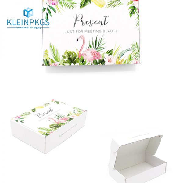 Corrugated Paper Packaging Box
